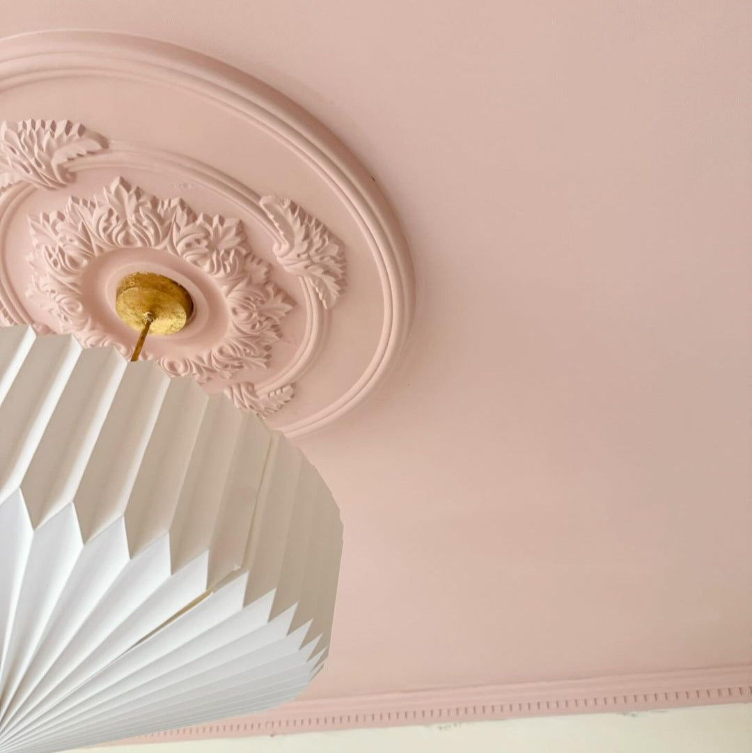 Plaster ceiling rose painted in pink