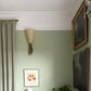 Small victorian coving in green bedroom